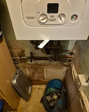 Boiler diagnostics